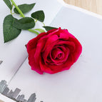 Curved Flannelette-rose Red