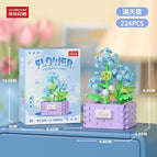 Gypsophila [color Box]