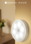 With Switch Induction + Constant Bright + White Light / 1w