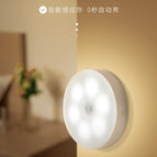 Con Switch Induction + Constant Bright + White Light / 1w