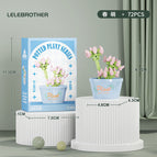succulent Potted Plant-spring Meng