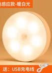 Induction Lamp Warm Light / 1w