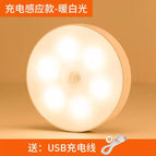 Induction Lamp Warm Light / 1w