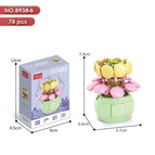 Succulent Potted Plant-cream Belle