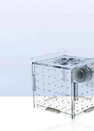 Acrylic Isolation Box Fish Tank Transparent Aquarium Small Fry Incubator Breeding Box Single Double Multi-grid Isolation Net