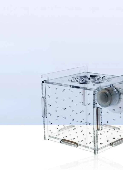 Acrylic Isolation Box Fish Tank Transparent Aquarium Small Fry Incubator Breeding Box Single Double Multi-grid Isolation Net