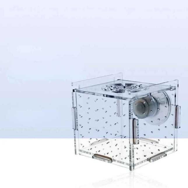 Acrylic Isolation Box Fish Tank Transparent Aquarium Small Fry Incubator Breeding Box Single Double Multi-grid Isolation Net