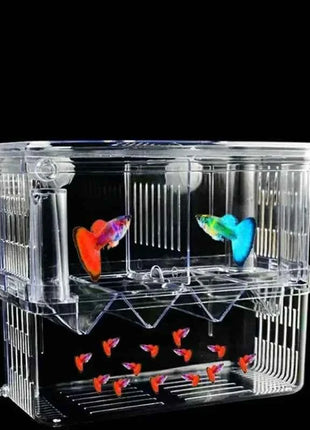 Acrylic 3 Sizes Double-Deck Clear Fish Breeding Isolation Box Hatchery Divider for Shrimp Clownfish Aggressive Fish Injured