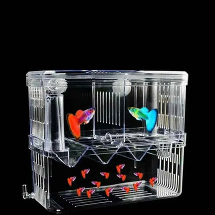 Acrylic 3 Sizes Double-Deck Clear Fish Breeding Isolation Box Hatchery Divider for Shrimp Clownfish Aggressive Fish Injured