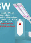 8w blue red timed