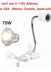 75W and White holder / China Mainland