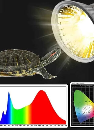 25/50/75W UVA UVB Reptile Lamp Bulb Turtle Basking UV Light Bulbs Heating Light Pet Heat Lamp Amphibians Full Sunlamp