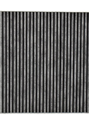 Auto Polline Cabina A/C Filtro Aria Per Kia Carnival YP Grand Sedona 2015 2016 2017 2018 2019 2020 2021 3.3L V6 Accessori Motore