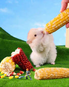 Hamster corn chew sticks, small corn, golden hamster, hamster, rabbit, chinchilla, mice, nutritious, chew and strengthen teeth