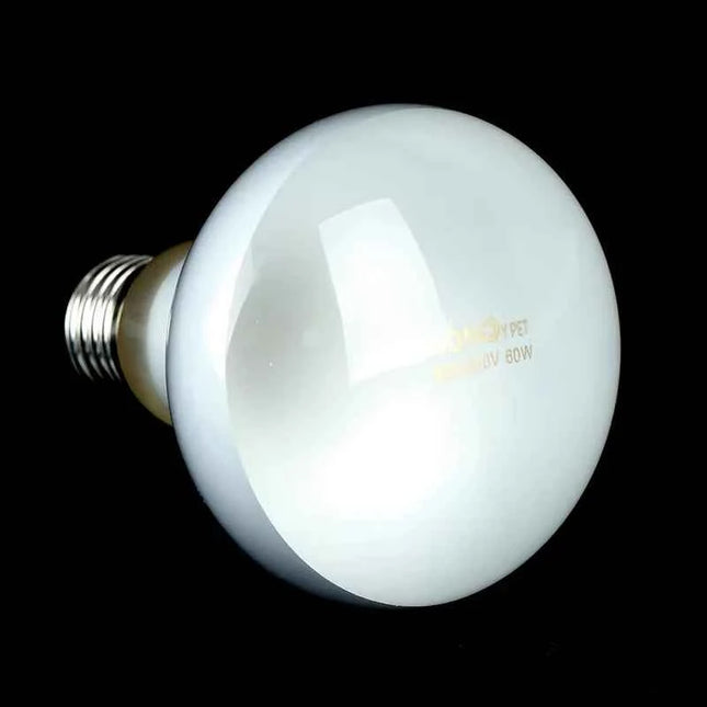 40W 50W 75W 100W UVA Reptile Lamp Bulb Turtle Basking Light Bulbs Heating Lamp Amphibians Lizards Temperature Controller