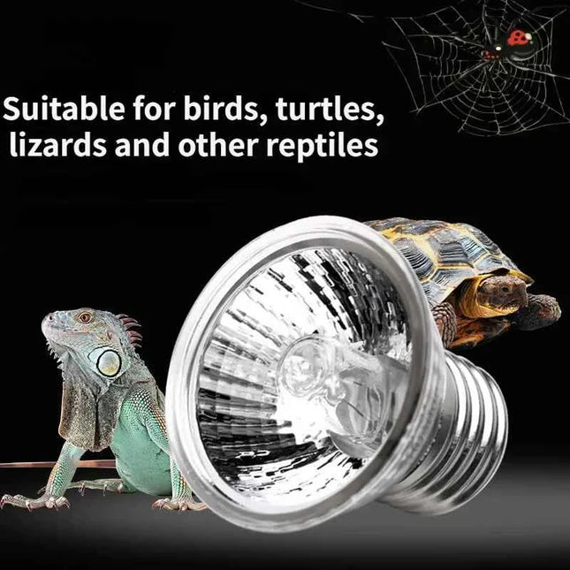 75W Halogen Bulb for Reptile Heat Lamp Adjustable Gooseneck Aquarium Tank Heating Lamps for Tortoise Lizard Snake Terrarium