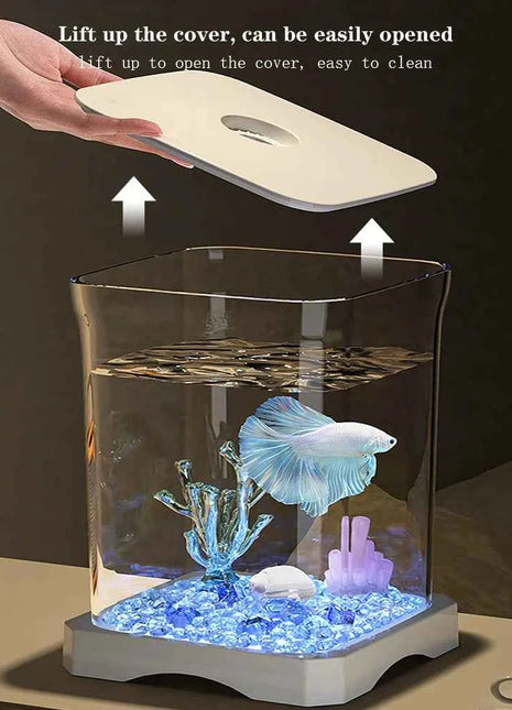 Small Acrylic Aquarium Fish Tank Starter Kit with LED Light Desktop Ecosystem for Fish Keeping Home Office Decoration Clear