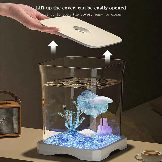 Small Acrylic Aquarium Fish Tank Starter Kit with LED Light Desktop Ecosystem for Fish Keeping Home Office Decoration Clear