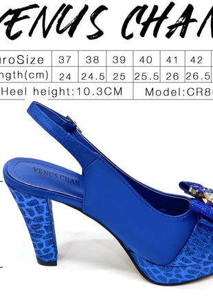 Fashion African Shoes and Evening Bag Italian Design Women's Shoes New Style High Heels Comfortable Ladies Shoes and Handbags
