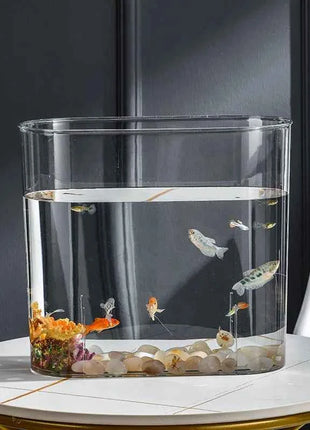 PET Aquarium Box Plastics Ultra-white Organic Glass Explosion-proof Fish Tank Tabletop Small Ecological Water Tank