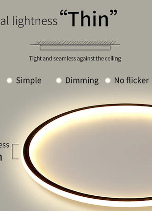 Lampada da soffitto a LED con telecomando Lampada da camera da letto moderna semplice ultrasottile Lustre Decorazioni per la casa Sala da pranzo Soggiorno Cucina Corridoio