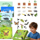 Set di giocattoli Montessori per l'apprendimento dell'inglese per bambini, con il ciclo di vita degli animali e 5 libri in inglese: formica, rana, farfalla, zanzara e fagiolo