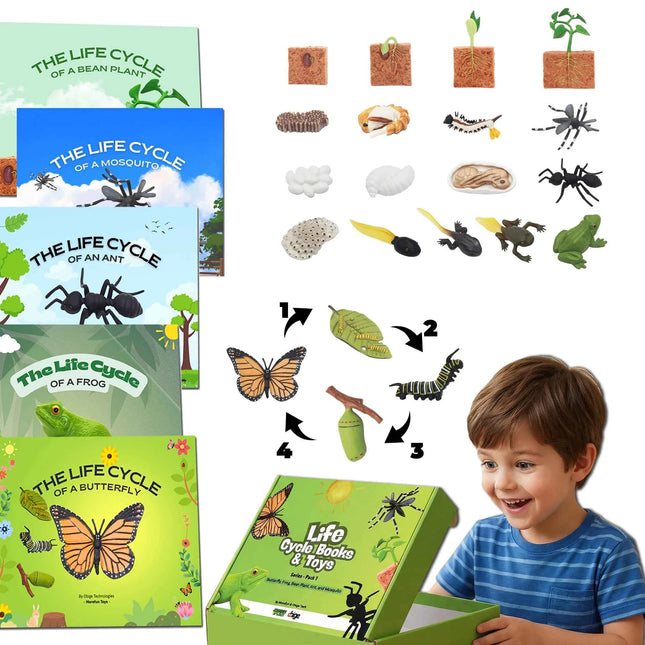 Set di giocattoli Montessori per l'apprendimento dell'inglese per bambini, con il ciclo di vita degli animali e 5 libri in inglese: formica, rana, farfalla, zanzara e fagiolo