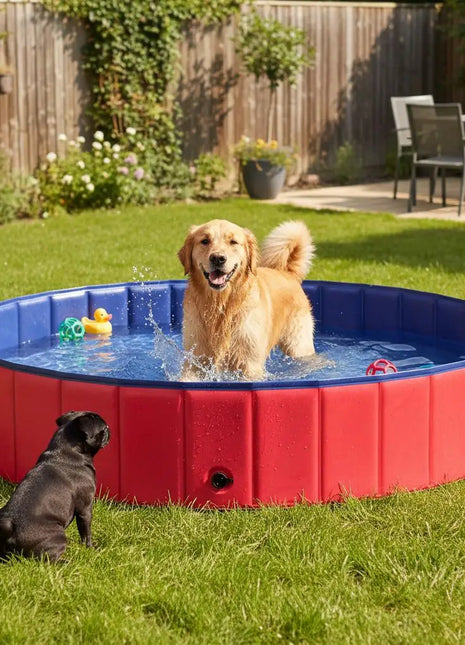 Piscina pieghevole per cani – Struttura robusta in PVC, design antiscivolo e valvola di scarico rapido