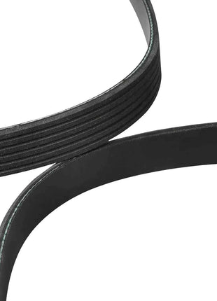 Cinghia di trasmissione serpentina 11281706545 11287636379 di ricambio per 6PK1538 per BMW E46 E39 E60 E53 320i 323i 325i 525i 530i Z3