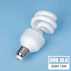 10.0 13W