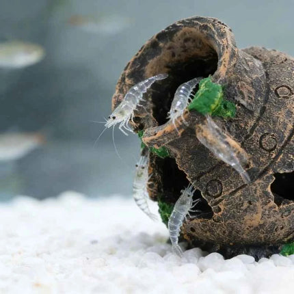 Sunken Broken Jar Aquarium Decoration Resin Cave Hideout for Fish Shrimp Tank Landscape Ornament Shelter Breeding Spawning