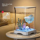 Aquarium Starter Kit Mini Desktop Rectangular Fish Tank With Top Feeding Hole with Bottom Light Tabletop Decoration For Betta
