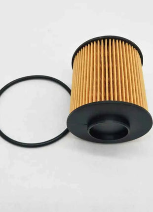 55223416 oil filter for ALFA ROMEO GIULIETTA . FIAT DOBLO/500. JEEP CHEROKEE . OPEL COMBO . SUZUKI SX4 VAUXHALL COMBO