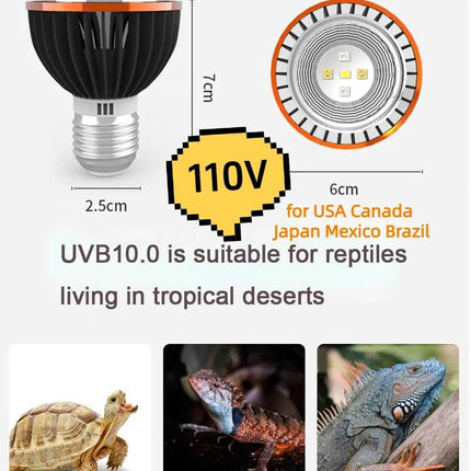 Professional 3W Reptile Lamp UVA UVB5.0 UVB10.0 Lmap LED Bulb Turtle Tortoise Lizard Basking Sunlight UVB Bulb Lighting