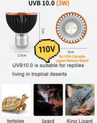 Professional 3W Reptile Lamp UVA UVB5.0 UVB10.0 Lmap LED Bulb Turtle Tortoise Lizard Basking Sunlight UVB Bulb Lighting