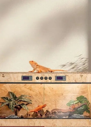 Wooden Reptile Terrarium with Dual-Temperature Control&Glass Doors Intelligent Gecko/Lizard Habitat for Pet Breeding and Display