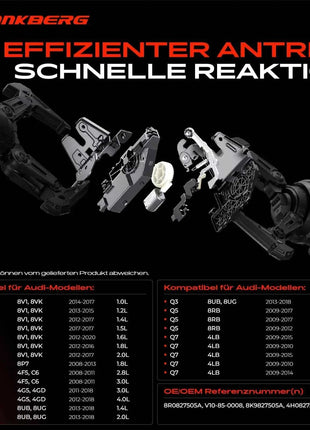 Serratura Portellone Posteriore Frankberg 1x per Audi A3 8P 8V A4 8K B8 A6 4G 4F C6 A5 A7 Q3 Q5 Q7 8R0827505A V10-85-0008 8K9827505A