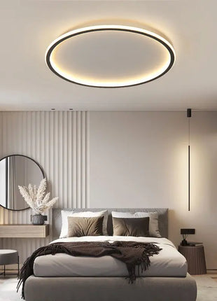 Lampada da soffitto a LED con telecomando Lampada da camera da letto moderna semplice ultrasottile Lustre Decorazioni per la casa Sala da pranzo Soggiorno Cucina Corridoio