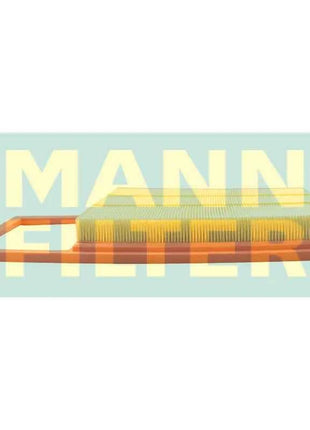 Filtro Aria MANNFILTER C38018 per DENZA D9 DM-i BYD SONG PLUS 1.5 2020- TA5-1109210 LX5609