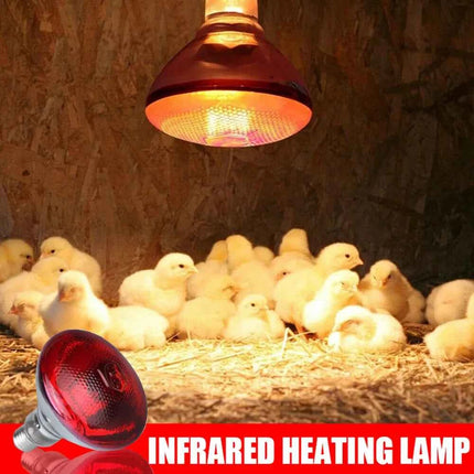 Infrared Heat Lamp Waterproof Anti-Explosion Thickened Light Bulbs For Piglet Chicken Birds Outdoor Heating Cooling Lighting