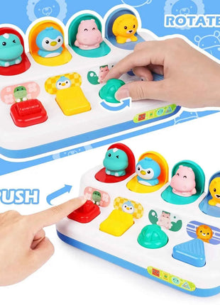 Interactive Activity Pop Up Toy for Babies Cause and Effect Toy Baby Development Games Montessori Educational Learning Toys