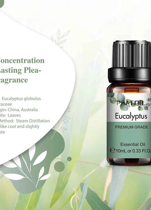 PHATOIL Natural Plant Essential Oil 10ml Eucalyptus Lavender Bergamot Vanilla Peppermint 1PCS Aroma Essential Oils For Diffuser