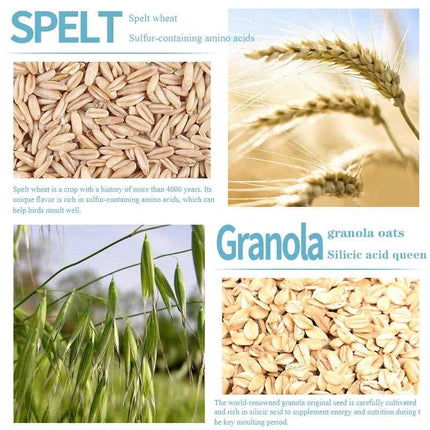 Bulk bird food parrot feed oil sunflower bird feed parrot food bird food bird food feed