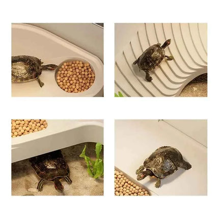 Multi-Functional Transparent Reptile Terrarium Turtle Aquarium with Easy Water ReplacementDesign ForLizardsTortoises Accessories