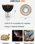 Professional 3W Reptile Lamp UVA UVB5.0 UVB10.0 Lmap LED Bulb Turtle Tortoise Lizard Basking Sunlight UVB Bulb Lighting