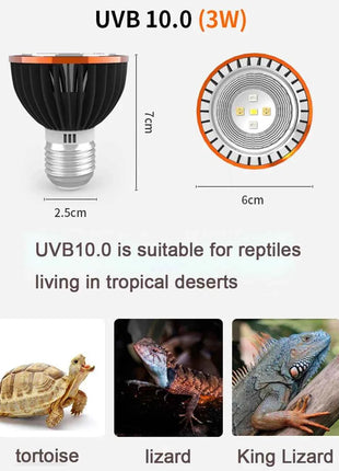 Professional 3W Reptile Lamp UVA UVB5.0 UVB10.0 Lmap LED Bulb Turtle Tortoise Lizard Basking Sunlight UVB Bulb Lighting