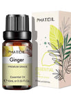 Ginger / 10ml