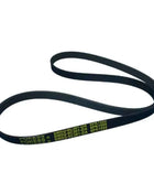 Cinghie con taglio a V per BMW FORD VOLVO SKF VKMV 6PK1555