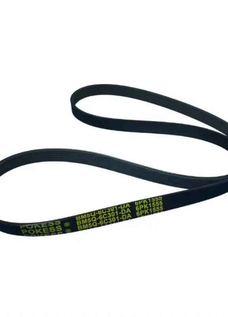 Cinghie con taglio a V per BMW FORD VOLVO SKF VKMV 6PK1555