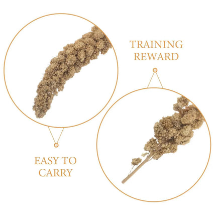 Millet Treat for Pet Birds Bird Snack Natural Dried Millet for Parakeets Parrots Cockatiels Lovebirds Budgies Finches Supplies